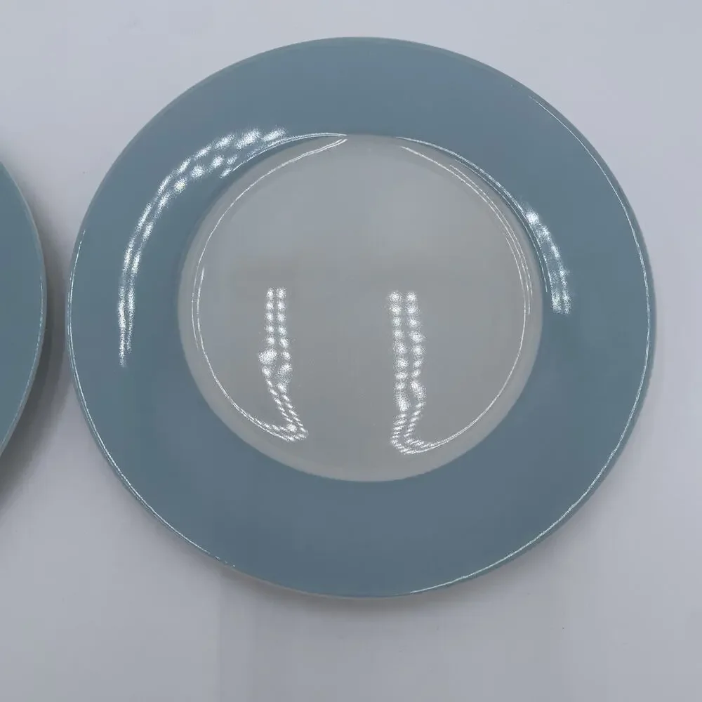 IKEA Susan Pyrke 365 Set of 2 White & Blue Rim Stoneware 8.5” Luncheon Plates
